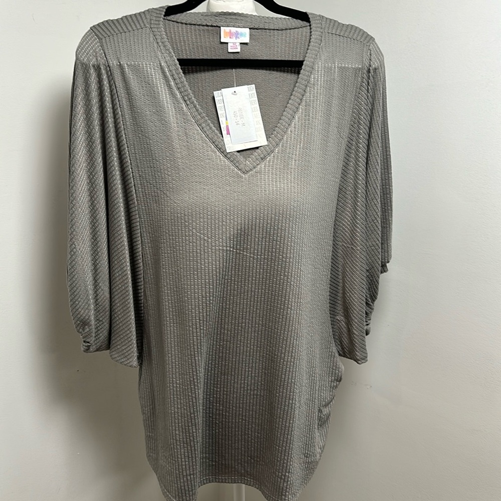Balloon Sleeves Top